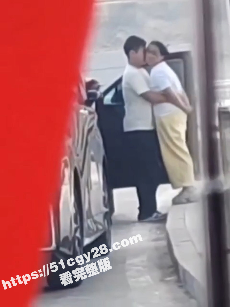 上海浦东机场路边 年相关图片